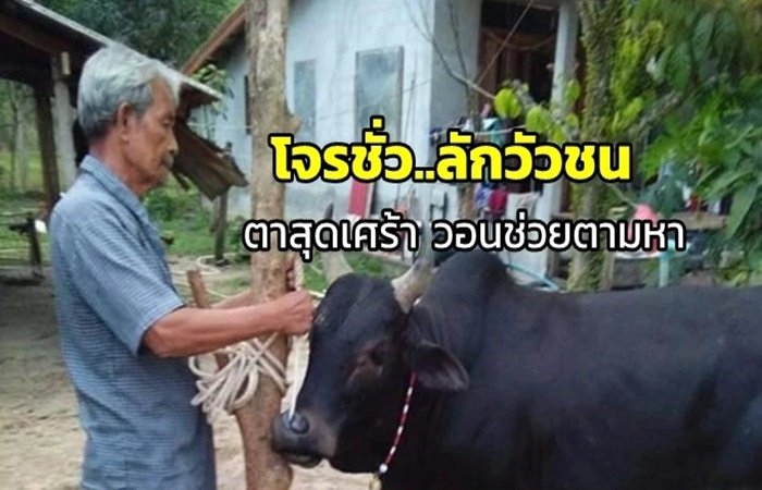 โจรชั่ว