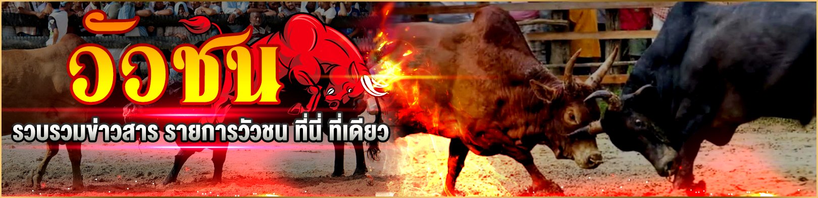 พนันวัวชนออนไลน์