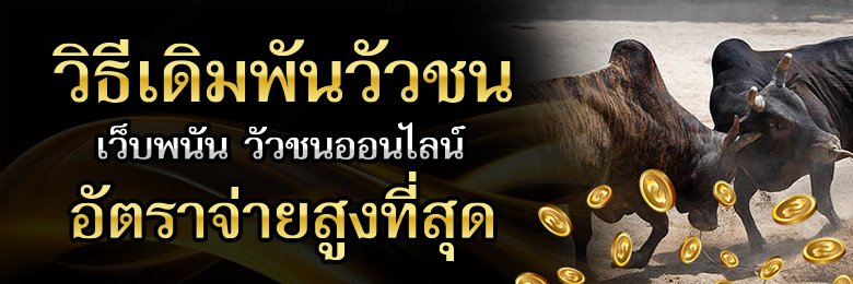 วิธีเดิมพันวัวชน