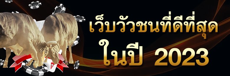 เว็บวัวชนมาแรง