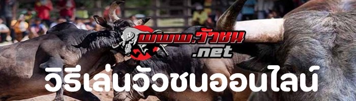 วิธีเล่นวัวชนออนไลน์